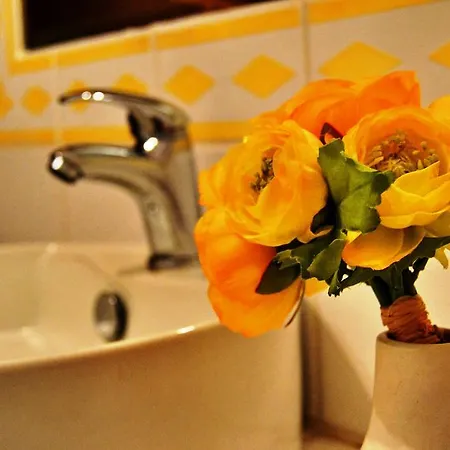 Silveira فورناس